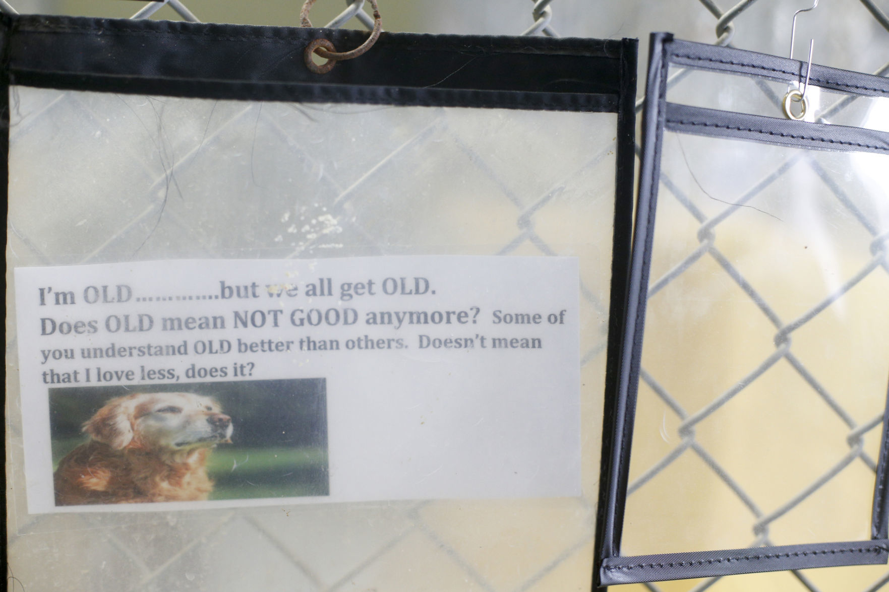 Clear the Shelter